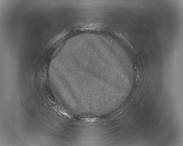 X0000078871350200612111703