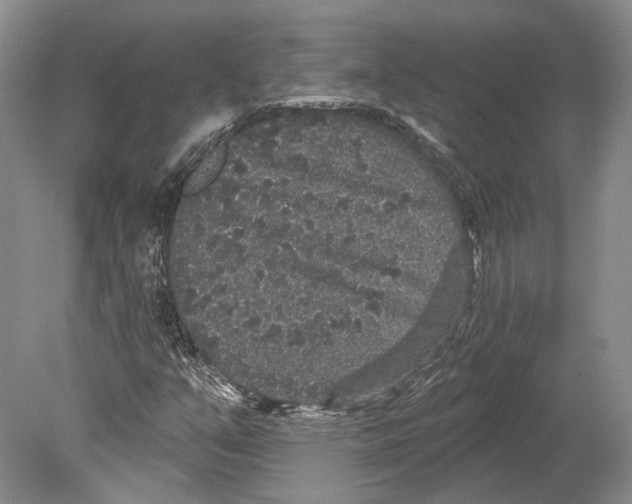 X0000078871351200612111703