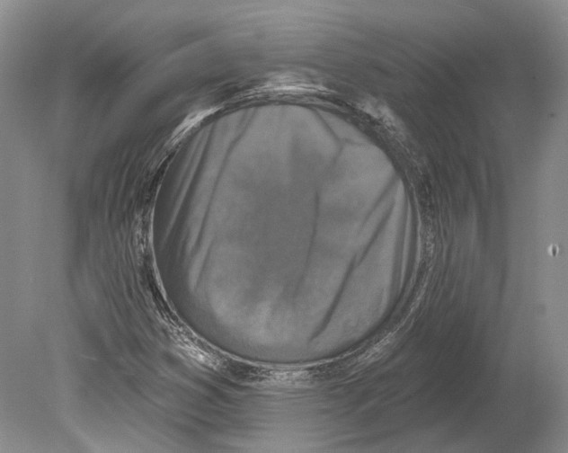 X0000078871353200612111703