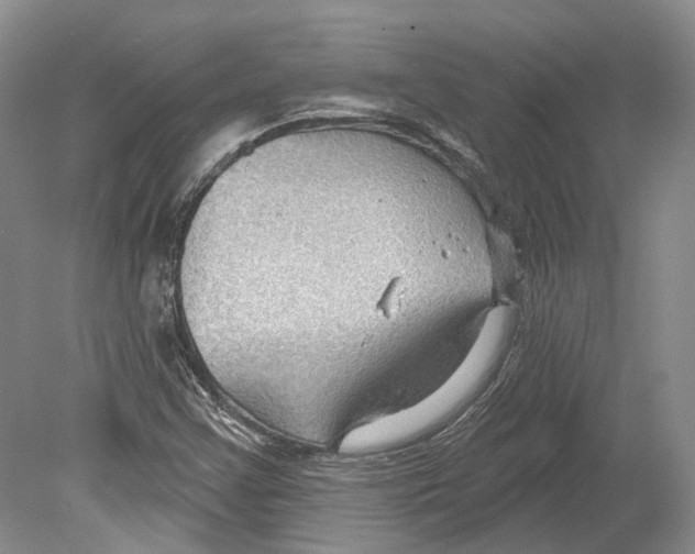 X0000078871355200612111703