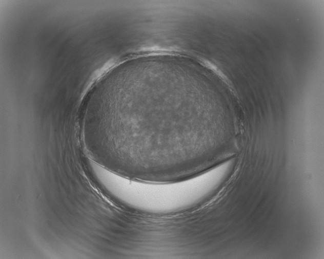 X0000078871357200612111703