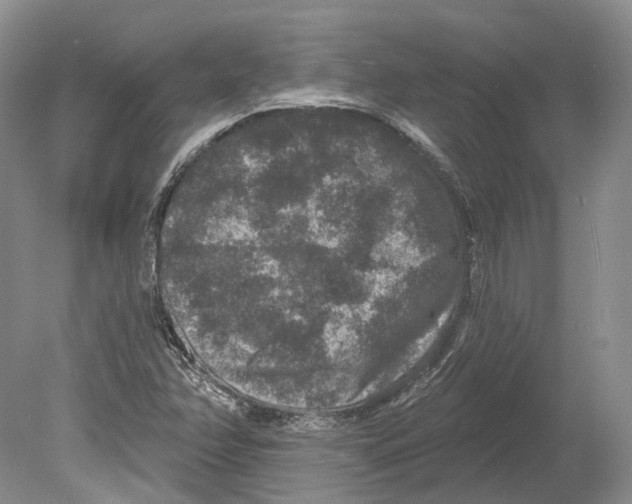 X0000078871358200612111703