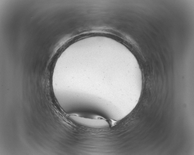 X0000078871360200612111703