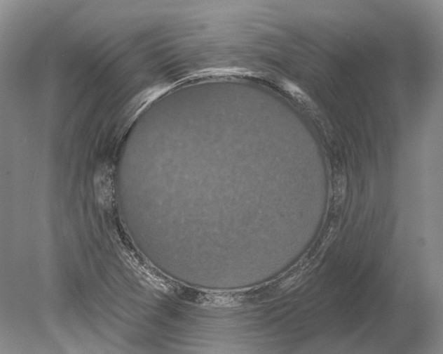 X0000078871361200612111703