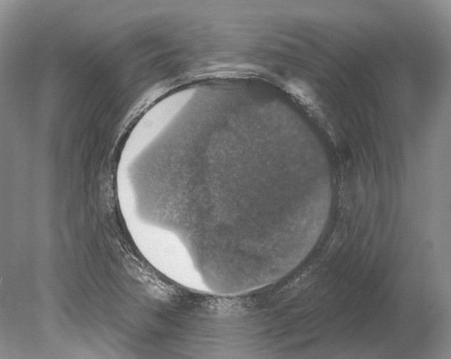 X0000078871362200612111702