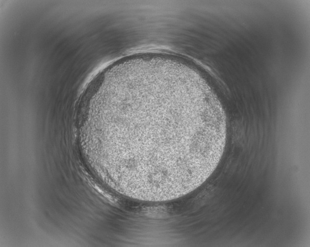 X0000078871363200612111702