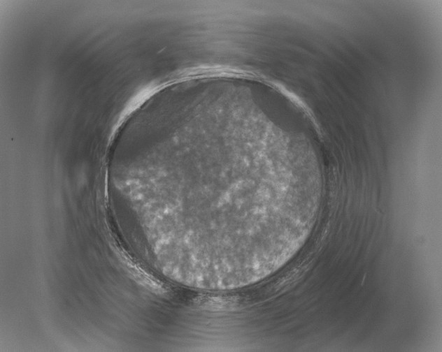 X0000078871365200612111702