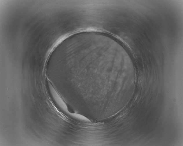 X0000078871367200612111702