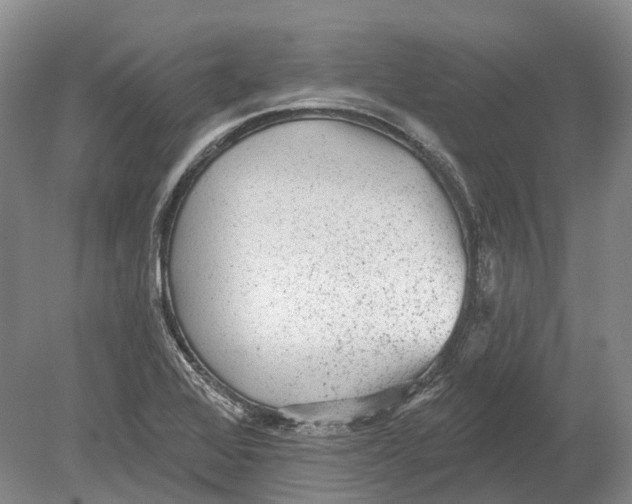 X0000078871368200612111702