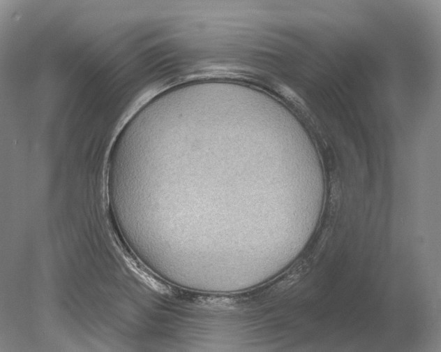 X0000078871370200612111702