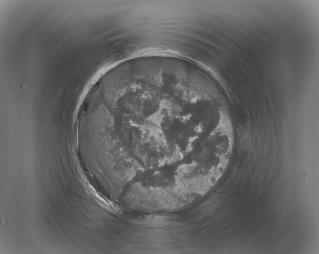 X0000078871371200612111702