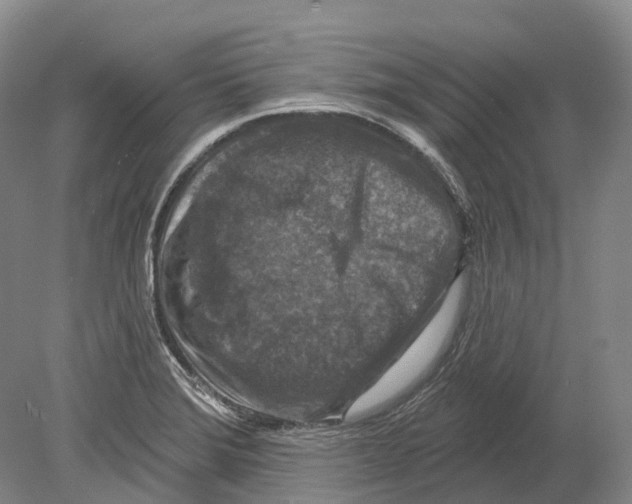 X0000078871372200612111702