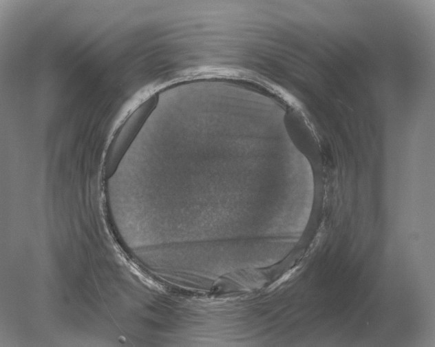 X0000078871373200612111702