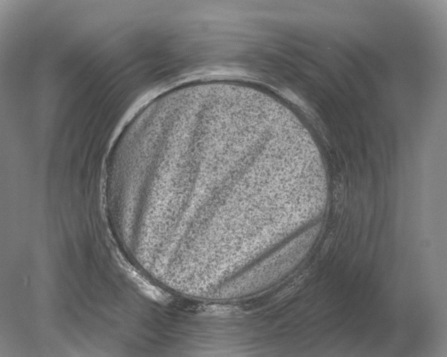 X0000078871374200612111702