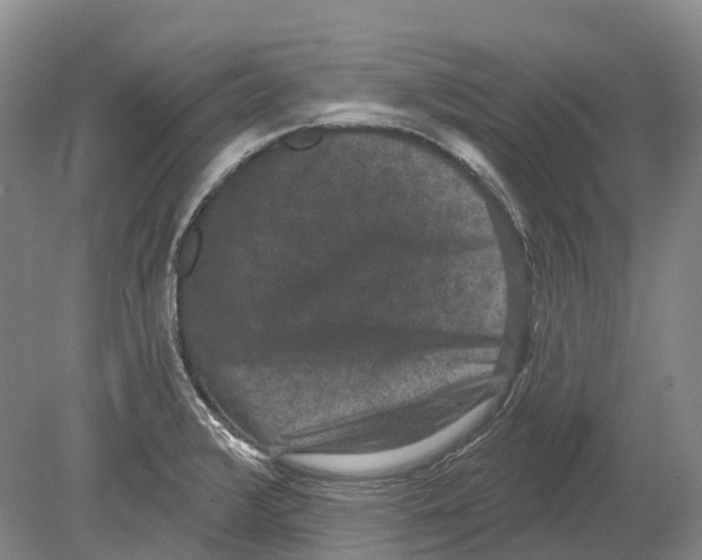 X0000078871376200612111702