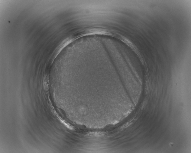 X0000078871377200612111702