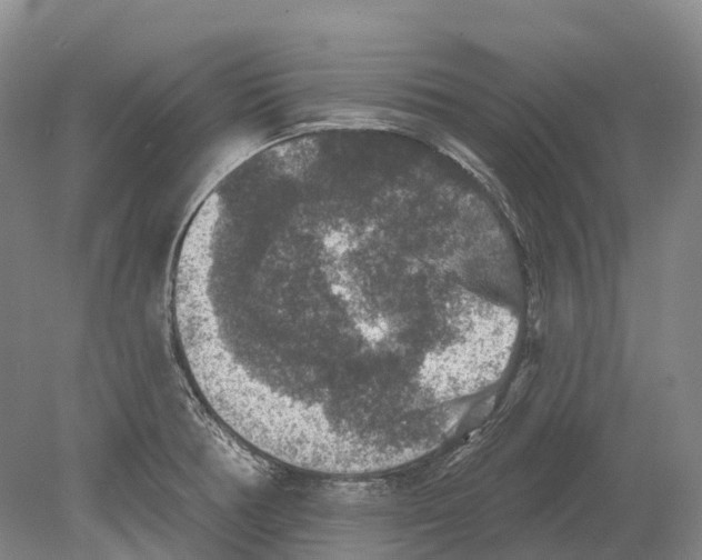 X0000078871378200612111702