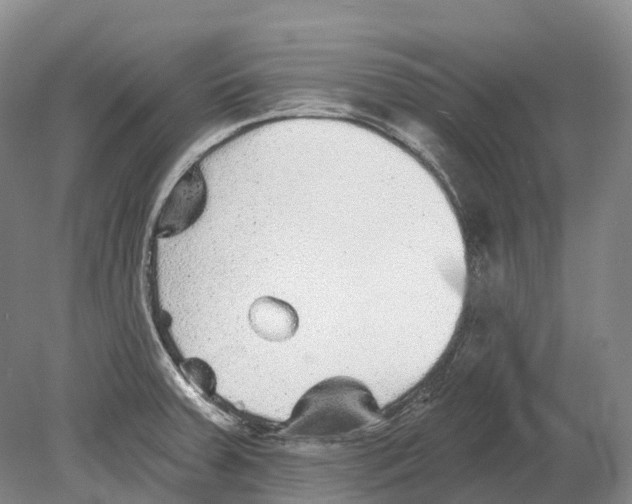 X0000078871379200612111702