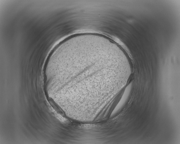 X0000078871380200612111702