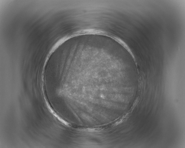 X0000078871381200612111702