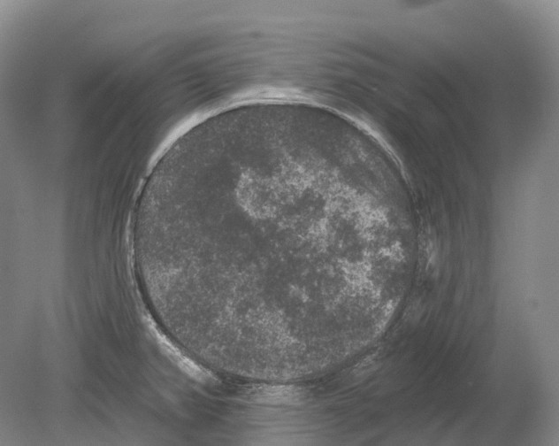 X0000078871382200612111702