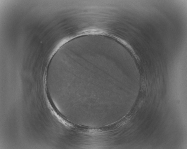 X0000078871383200612111702