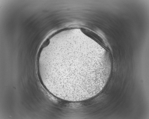 X0000078871384200612111702