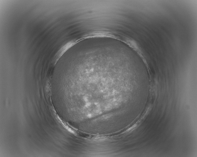 X0000078871385200612111702