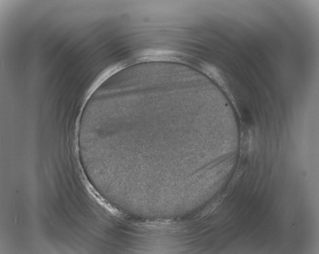 X0000078871386200612111702