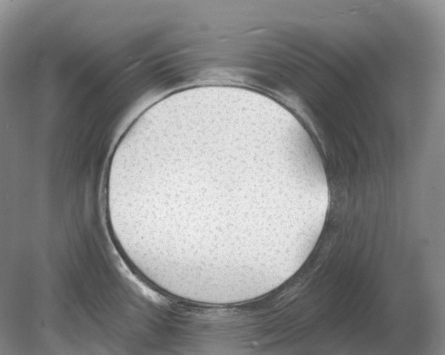 X0000078871387200612111702