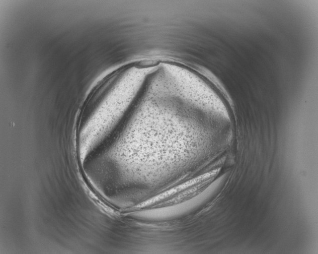 X0000078871388200612111702