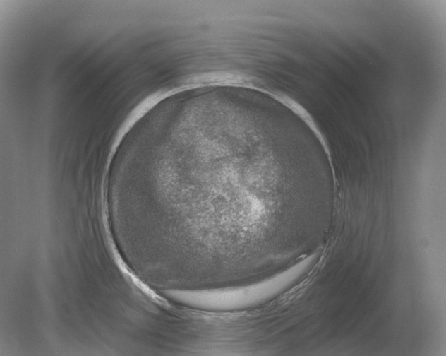 X0000078871389200612111702