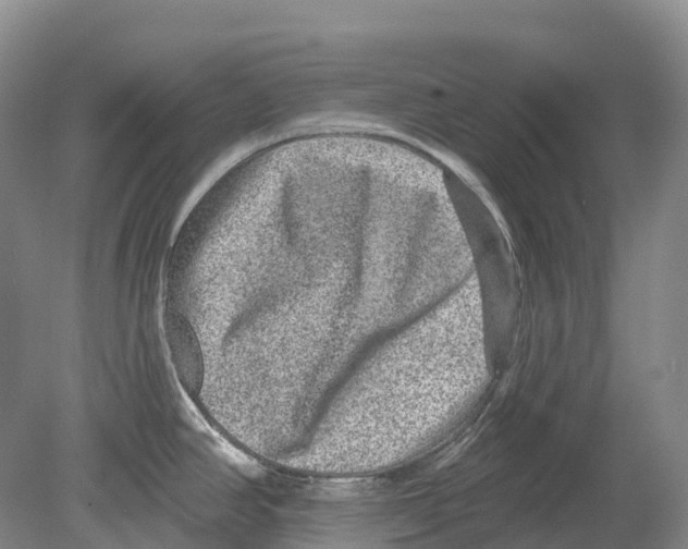 X0000078871390200612111702