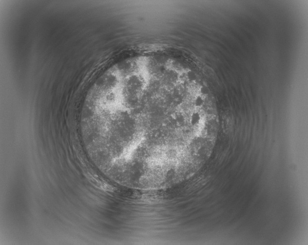 X0000078871393200612111701