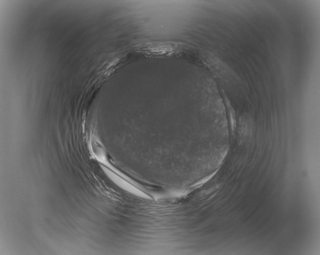 X0000078871394200612111701