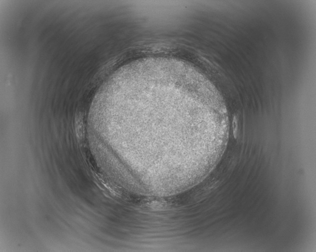 X0000078871395200612111701