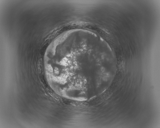 X0000078871397200612111701