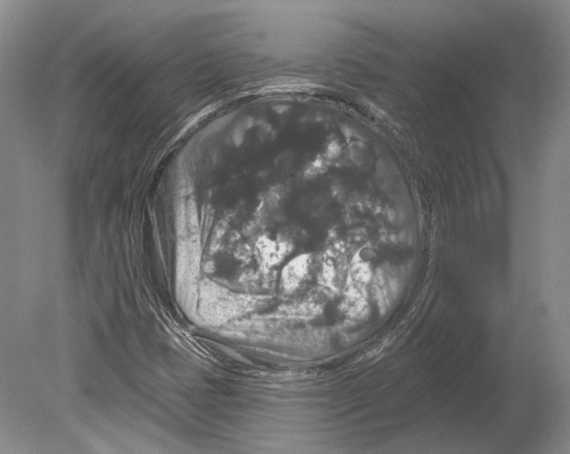 X0000078871401200612111701