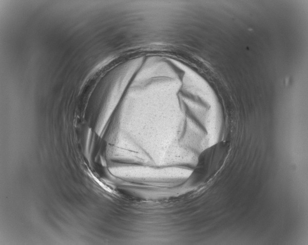 X0000078871402200612111701