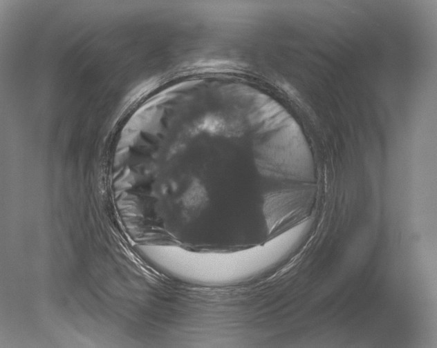 X0000078871405200612111701