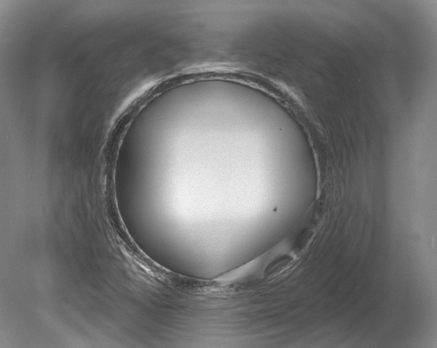 X0000078871406200612111701