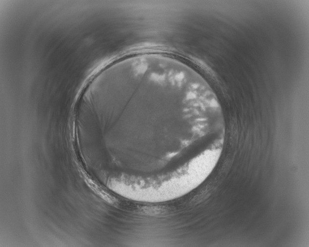 X0000078871413200612111701