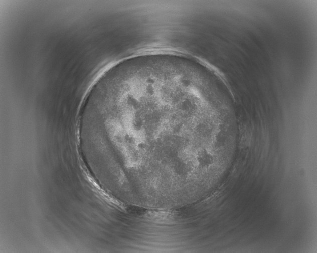 X0000078871415200612111702