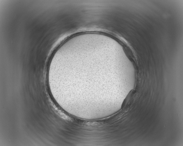 X0000078871416200612111702