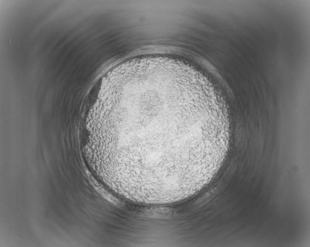 X0000078871417200612111702