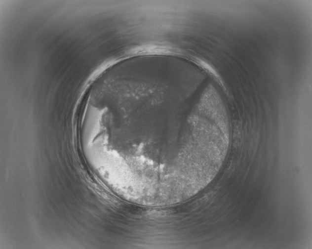 X0000078871419200612111702