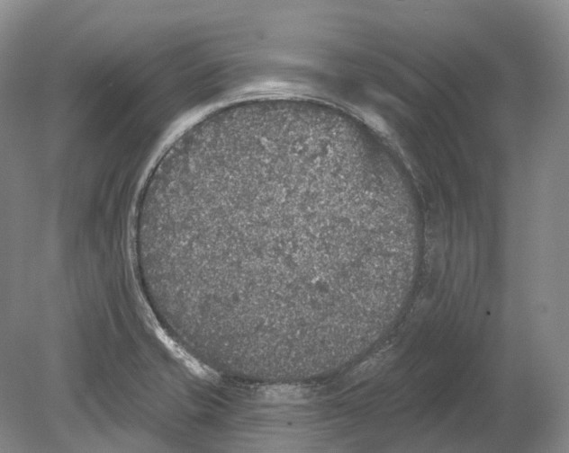 X0000078871421200612111702