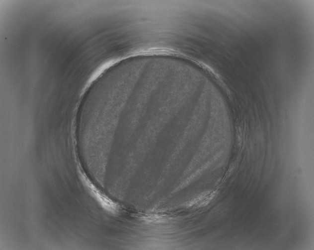 X0000078871422200612111702