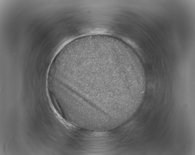 X0000078871423200612111702