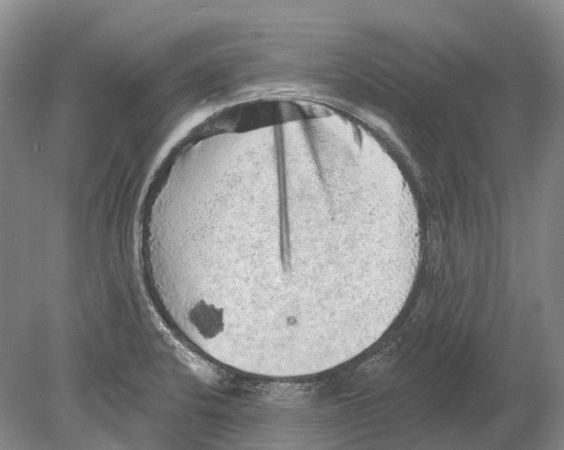 X0000078871424200612111702